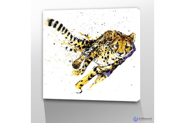 Картины животных Леопард AANL0081