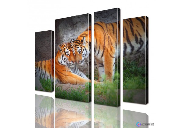 Модульная картина Тигры ADJ4_0013