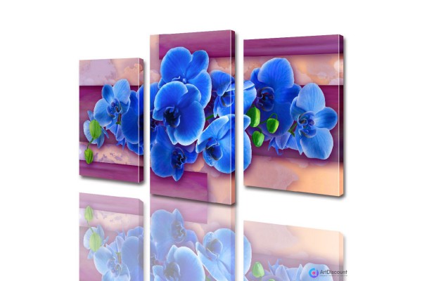 Модульные картины цветы Орхидея ADFL0002