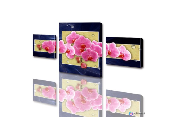 Модульные картины цветы Розовая Орхидея ADFL0003
