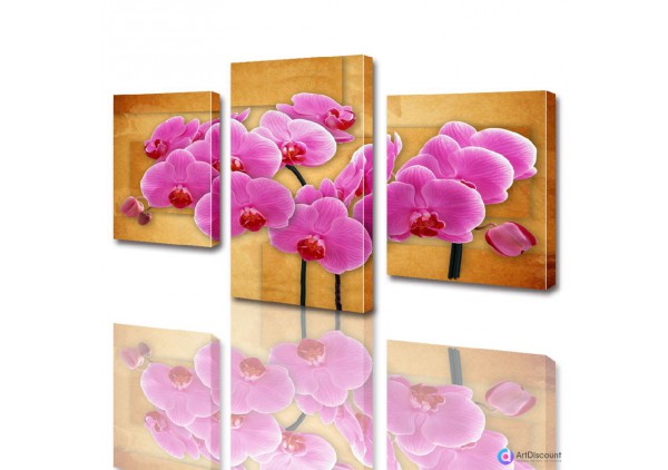 Модульные картины цветы Розовая Орхидея ADFL0004