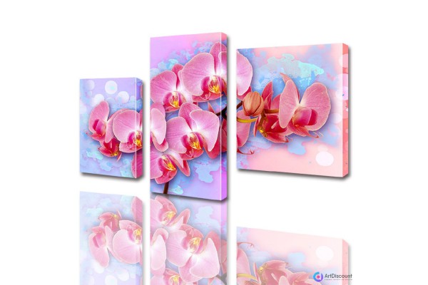 Модульные картины цветы Розовая Орхидея ADFL0006