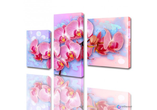 Модульные картины цветы Розовая Орхидея ADFL0006
