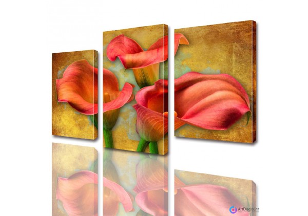 Модульные картины цветы Каллы ADFL0007