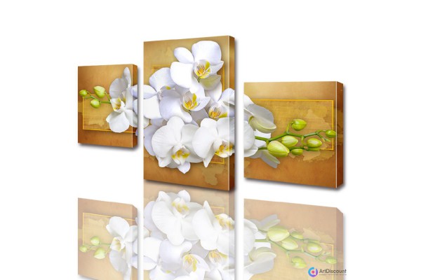 Модульные картины цветы Белая Орхидея ADFL0008