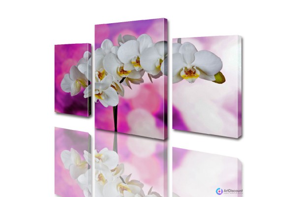 Модульные картины цветы Орхидея ADFL0011
