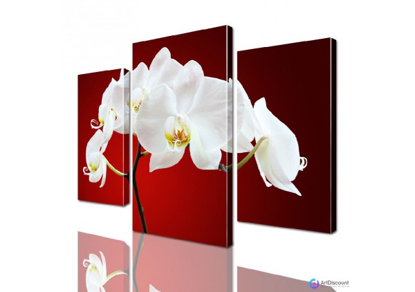 Модульные картины цветы Орхидея ADFL0018