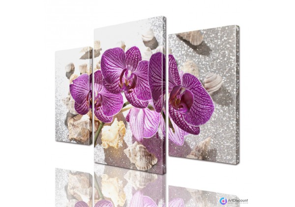 Модульные картины цветы Орхидея ADFL0022