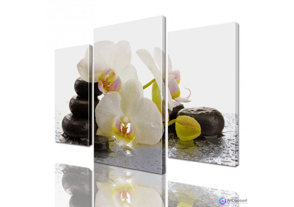 Модульные картины цветы Орхидея ADFL0028