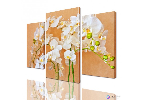 Модульные картины цветы Ветки Орхидеи ADFL0032