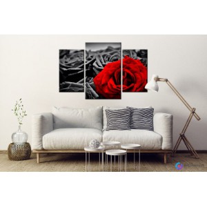 Модульные картины цветы Красная роза ADFL0036