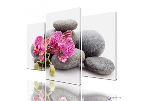 Модульные картины цветы Орхидея ADFL0038