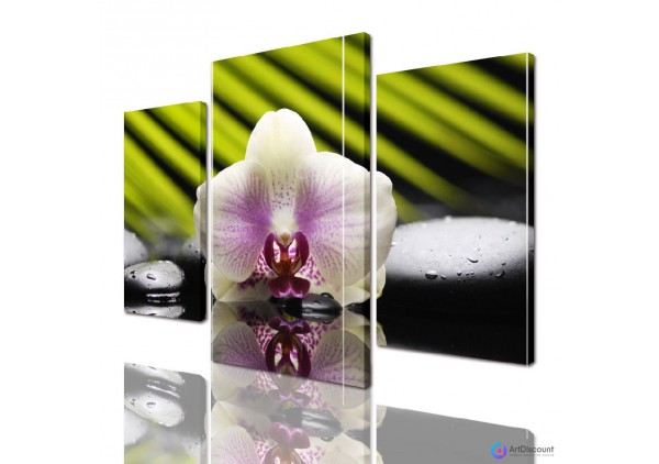 Модульные картины цветы Орхидея ADFL0040
