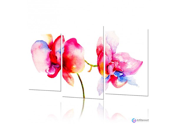 Модульные картины цветы Акварельная Орхидея ADFL0044