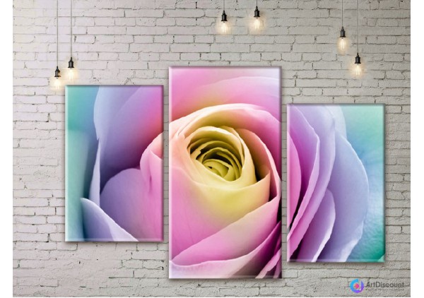 Модульные картины цветы Цветная Роза ADFL0069