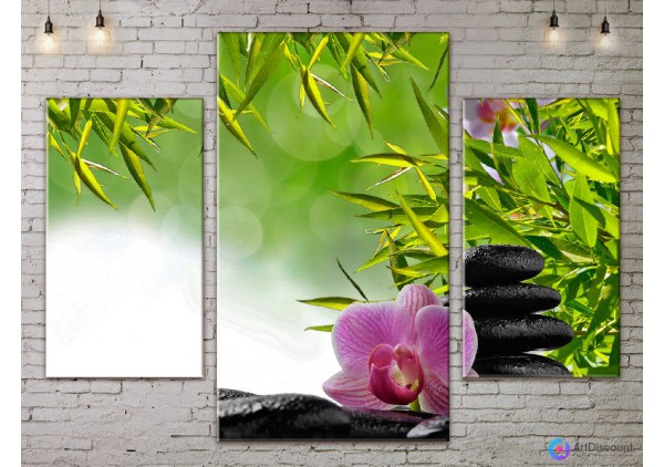 Модульные картины цветы Орхидея ADFL0071