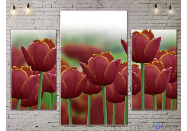 Модульные картины цветы Тюльпаны ADFL0073