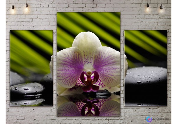 Модульные картины цветы Орхидея ADFL0079