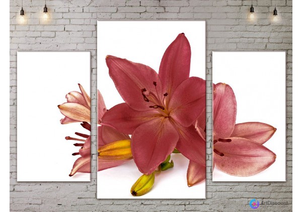 Модульные картины цветы Лилия ADFL0101