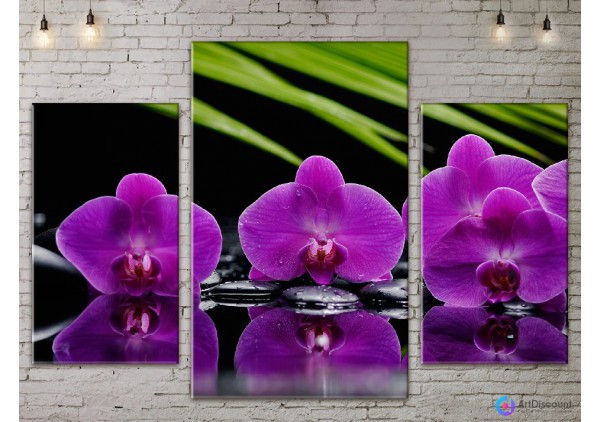 Модульные картины цветы Орхидеи ADFL0117