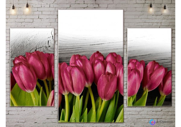 Модульные картины цветы Тюльпаны ADFL0119