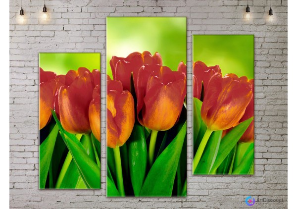 Модульные картины цветы Тюльпаны ADFL0125