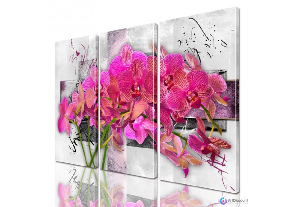 Модульные картины цветы Орхидея ADFL0129