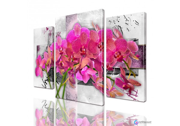 Модульные картины цветы Орхидея ADFL0130