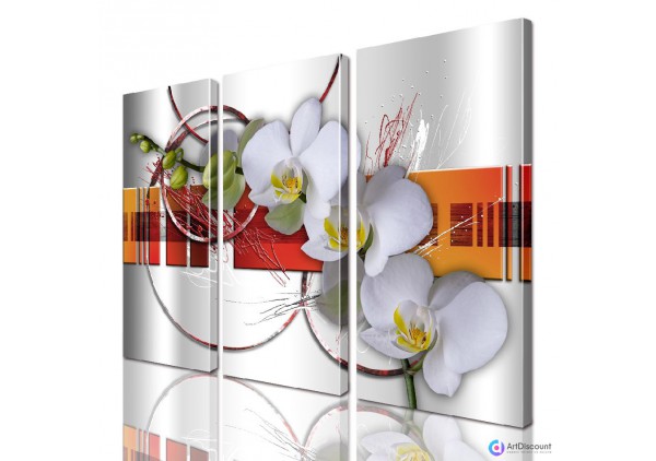 Модульные картины цветы Орхидея ADFL0131