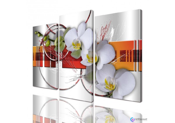 Модульные картины цветы Орхидея ADFL0134