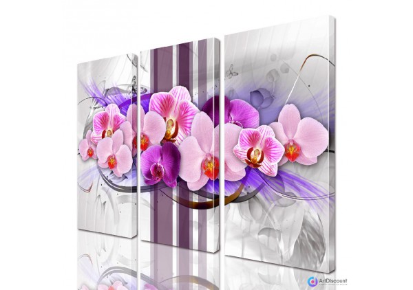 Модульные картины цветы Орхидея ADFL0135