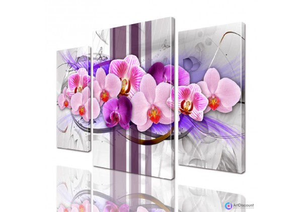 Модульные картины цветы Орхидея ADFL0138