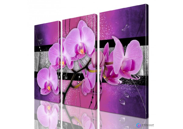 Модульные картины цветы Орхидея ADFL0139
