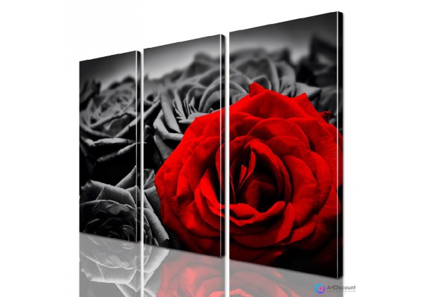Модульные картины цветы Красная Роза ADFL0180