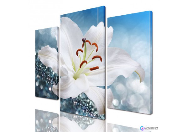 Модульные картины цветы ADFL0185