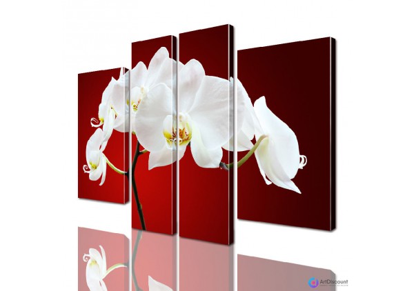 Модульные картины цветы Орхидея AFLW4_0016
