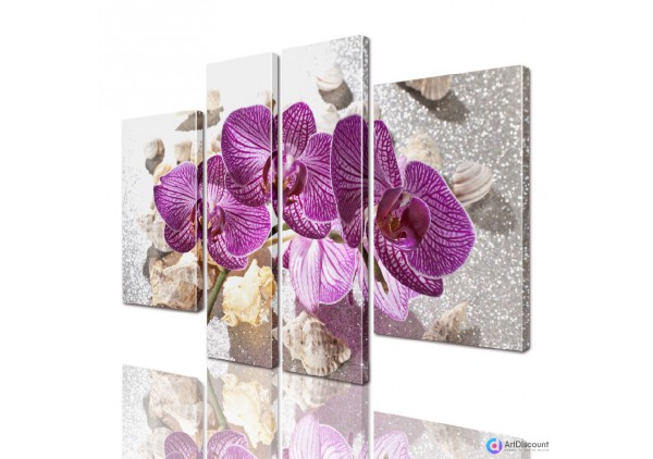 Модульные картины цветы Орхидея AFLW4_0020