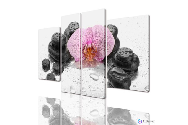 Модульные картины цветы Орхидея на Камнях AFLW4_0024