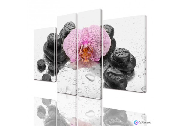 Модульные картины цветы Орхидея на Камнях AFLW4_0024