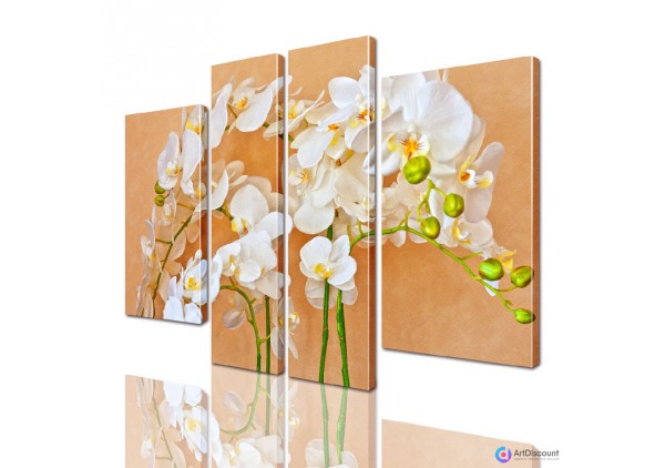Модульные картины цветы Орхидеи AFLW4_0030