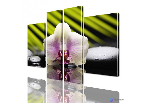 Модульные картины цветы Орхидея AFLW4_0040