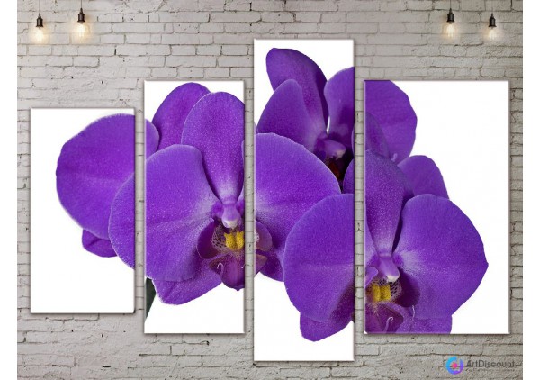 Модульные картины цветы Орхидея AFLW4_0115