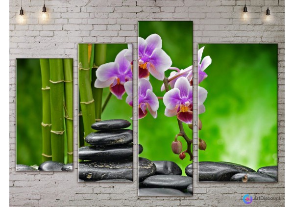 Модульные картины цветы Орхидея AFLW4_0129