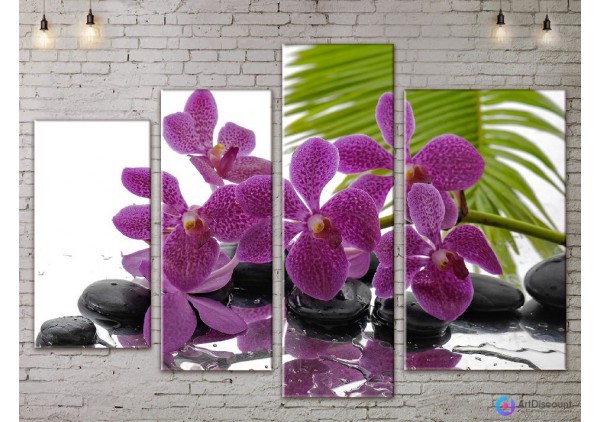 Модульные картины цветы Орхидея AFLW4_0135