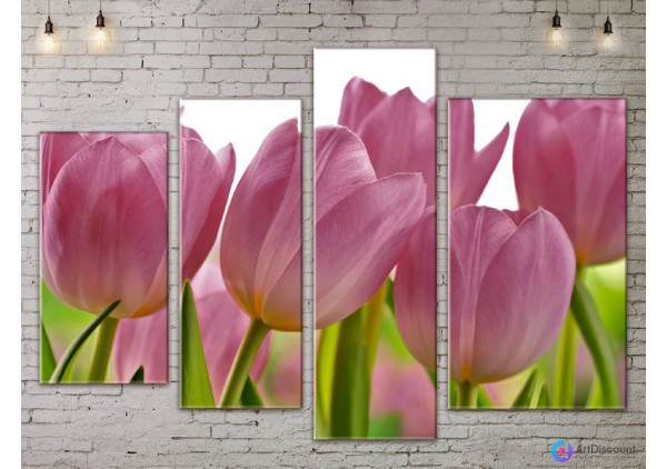 Модульные картины цветы Тюльпаны AFLW4_0139