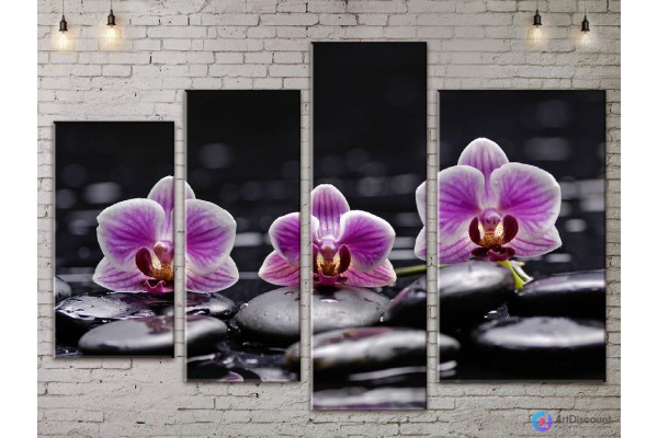 Модульные картины цветы Орхидея AFLW4_0153