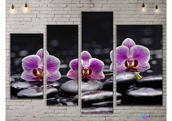 Модульные картины цветы Орхидея AFLW4_0153