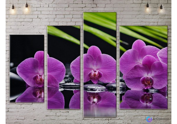 Модульные картины цветы Орхидея AFLW4_0165