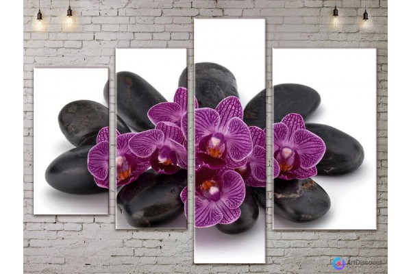 Модульные картины цветы Орхидея AFLW4_0175