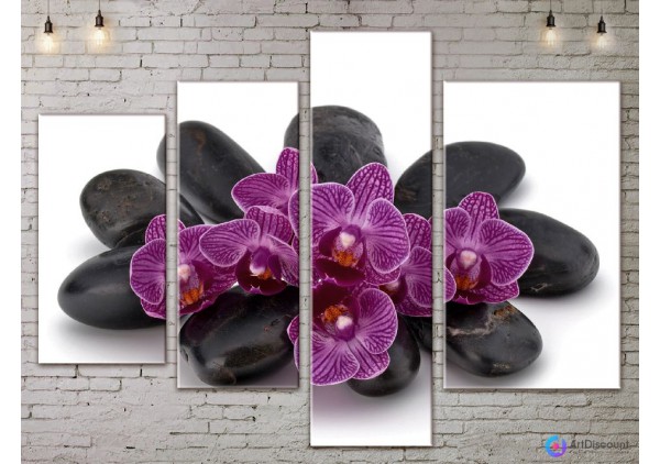 Модульные картины цветы Орхидея AFLW4_0175
